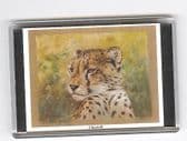 CHEETAH LARGE FRIDGE MAGNET