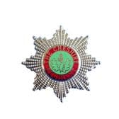 Cheshire Regiment ( The 22nd Regiment of Foot ) Lapel Pin / Sweetheart Pin