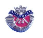 Duke of Cornwall's Light Infantry (DCLI) Lapel / Sweetheart Pin