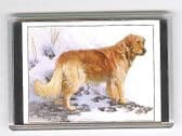 GOLDERN RETRIEVER LARGE FRIDGE MAGNET 2