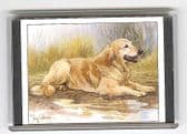 GOLDERN RETRIEVER LARGE FRIDGE MAGNET 4