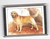 GOLDERN RETRIEVER LARGE FRIDGE MAGNET 5