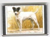 JACK RUSSELL TERRIER LARGE FRIDGE MAGNET 4