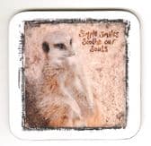 MEERCAT "SIMPLES" COASTER