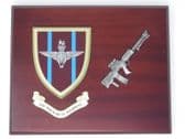 PARACHUTE REGIMENT ( PARAS ) MESS SHIELD AND LSW COMBAT PLAQUE