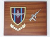 PARACHUTE REGIMENT ( PARAS ) MESS SHIELD AND SA80 COMBAT PLAQUE