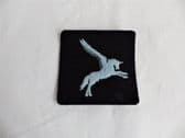 PEGASUS PATCH