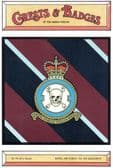 ROYAL AIR FORCE 100 SQUADRON POSTCARD
