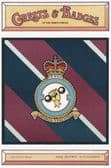 ROYAL AIR FORCE 21 SQUADRON POSTCARD
