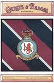 ROYAL AIR FORCE 243 SQUADRON POSTCARD