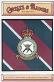 ROYAL AIR FORCE 2503 COUNTY OF LINCOLN SQUADRON POSTCARD