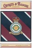 ROYAL AIR FORCE 31 SQUADRON POSTCARD