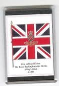 ROYAL BUCKS MILITIA COLOURS 1815 LARGE FRIDGE MAGNET