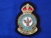 ROYAL NEW ZEALAND AIR FORCE 485 SQUADRON ( RNZAF ) BLAZER BADGE