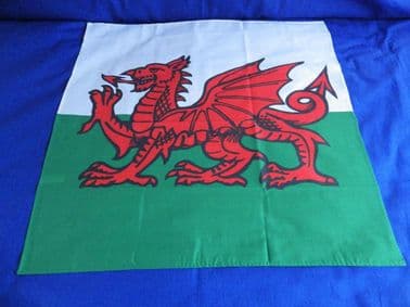 WELSH DRAGON BANDANA