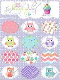 Happy Owls Sprinkle Sheet