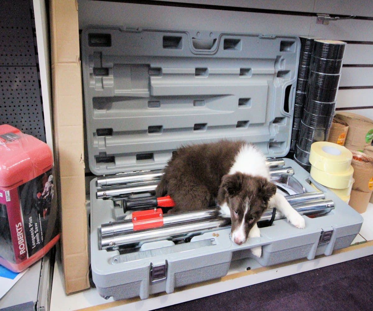 Roberts GT Powerlock Carpet Stretcher R10254A