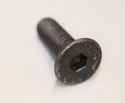 RWS130B Door Boss Blade Retaining Bolt