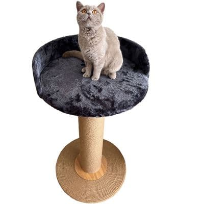 3ft Cat Post with Bed