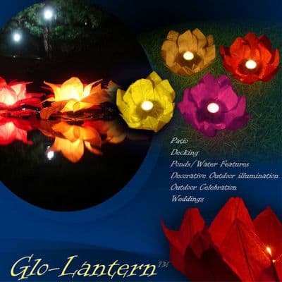 Garden Water/Pond Chinese Lantern