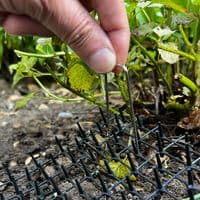 Prickle Strip Cat Scat Mat for Garden 200cm*30cm