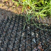 Prickle Strip Cat Scat Mat for Garden 200cm*30cm