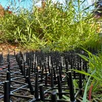 Prickle Strip Cat Scat Mat for Garden 200cm*30cm