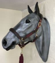 Leather/Nylon Web Headcollar and Lead Rope