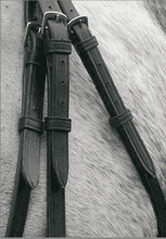 Sabre Cordoba 5/8" Cheekpieces