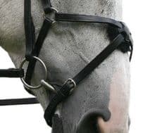 Sabre Cordoba Mexican Grackle Noseband