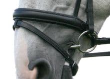 Sabre Cordoba Round Raised Flash Noseband