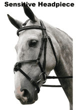 Sabre Cordoba Sensitive Mexican Grackle Snaffle Comfort Bridle