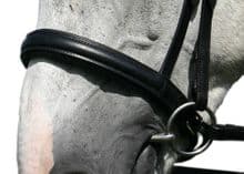 Sabre Cordoba SNAFFLE Round Raised Cavesson Noseband