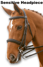 Sabre Cordoba Straight Head Round Raised Double (Weymouth) Bridle