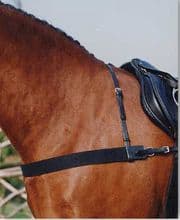 Sabre Elastic Breastgirth