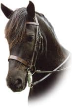 Sabre Eton (Show Hunter) Weymouth Bridle