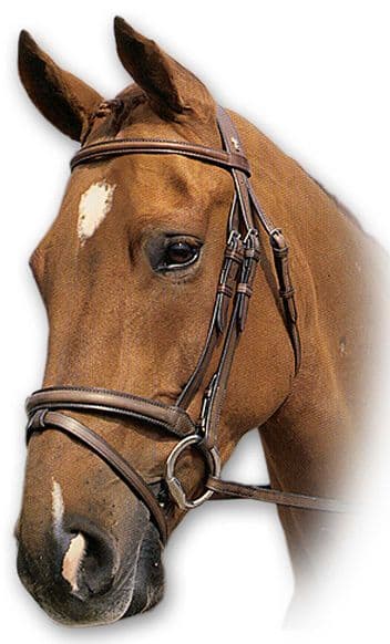 Sabre Hunter Snaffle Bridle, Raised heavyweight snaffle bridle