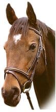 Sabre Richmond Snaffle Bridle (English, Flash & Grackle Nosebands)