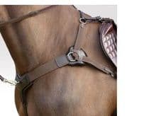 The Sabre Kompetitor 5 Point Competition Breastplate