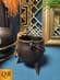 BRONZE STATUE  CAT ON CAULDREN COLD PAINTED
