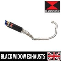 Akuma 125 2020-2023 De-Cat Exhaust System 230mm GP Round Blue Tip Black Stainless Silencer
