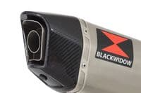 Akuma 125 2020-2023 De-Cat Exhaust System 300mm Hexagonal Stainless Carbon Tip Silencer