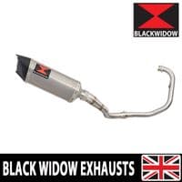 Akuma 125 2020-2023 De-Cat Exhaust System 300mm Hexagonal Stainless Carbon Tip Silencer