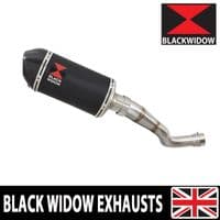 Akuma 125 2020-2023 Exhaust Silencer 200mm Oval Black Stainless Carbon Tip