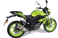 BN 125 2018-2024 Performance Exhaust System 300mm Oval Stainless + Carbon Tip Silencer