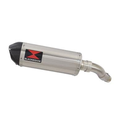 Eliminator 500 Exhaust Silencer 300mm Oval Stainless Carbon Tip