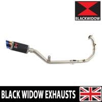 KTM 125 Duke  204 - 2025 Exhaust System 200 mm Round Stainless Black Blue Tip Silencer