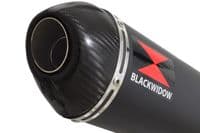 M1000XR 2023 - 2026 Exhaust Link Pipe + 400 mm Oval Black Stainless Carbon Tip Silencer