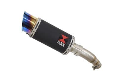 Ninja 125 2018 - 2024 Exhaust Silencer 200mm Round Blue Tip Black Stainless