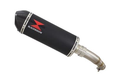 Ninja 125 2018 - 2024 Exhaust Silencer 300mm Oval Black Stainless Carbon Tip